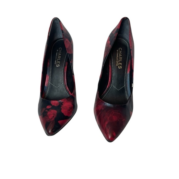 Charles David Red and Black Heels‎ with Pointed Toe and High Heel - Picture 1 of 6